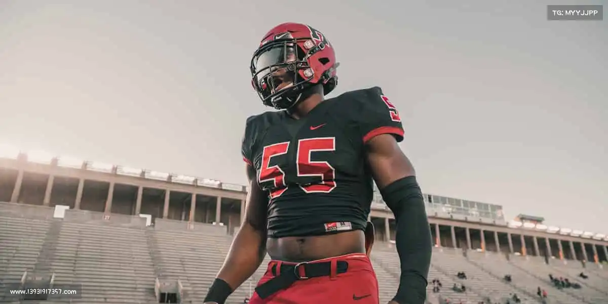 我们的核心竞争力